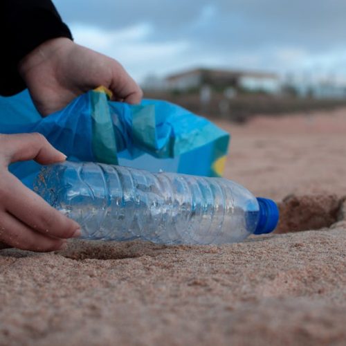 Sostenibilidad empresarial: ¿cómo comprobarla?