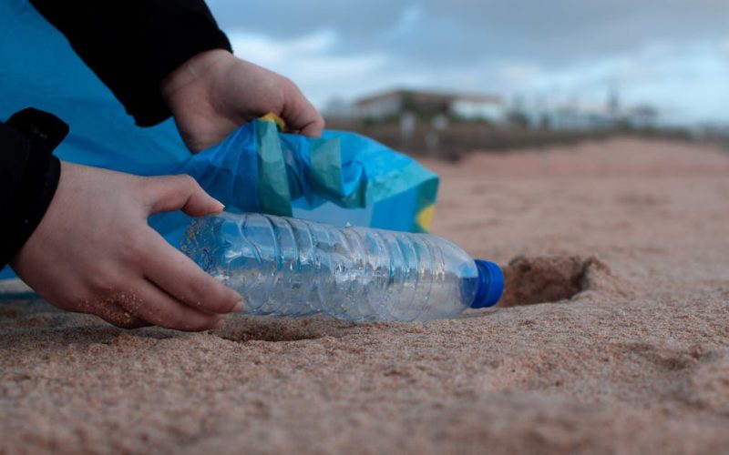 Sostenibilidad empresarial: ¿cómo comprobarla?